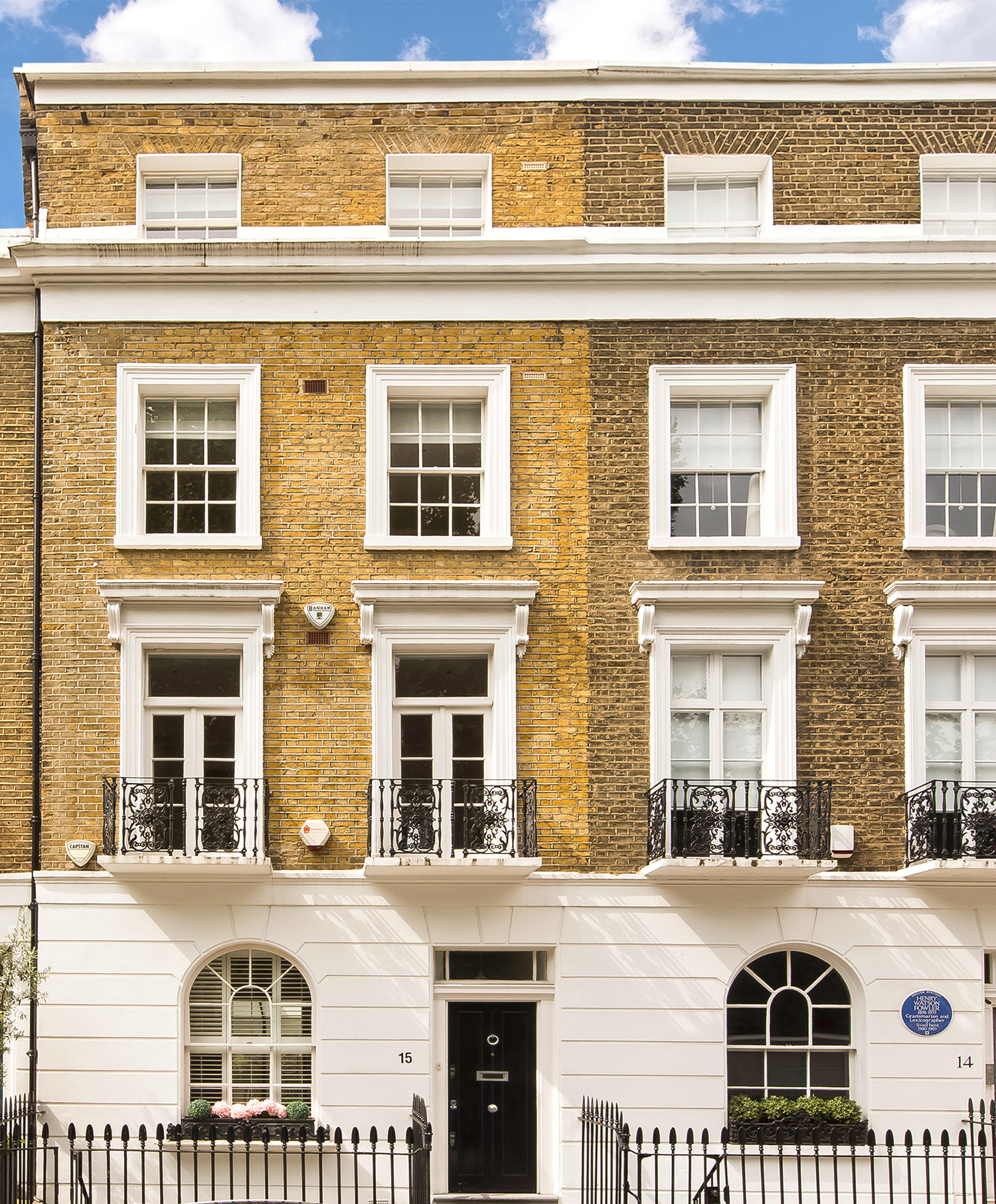 Meticulous assistance